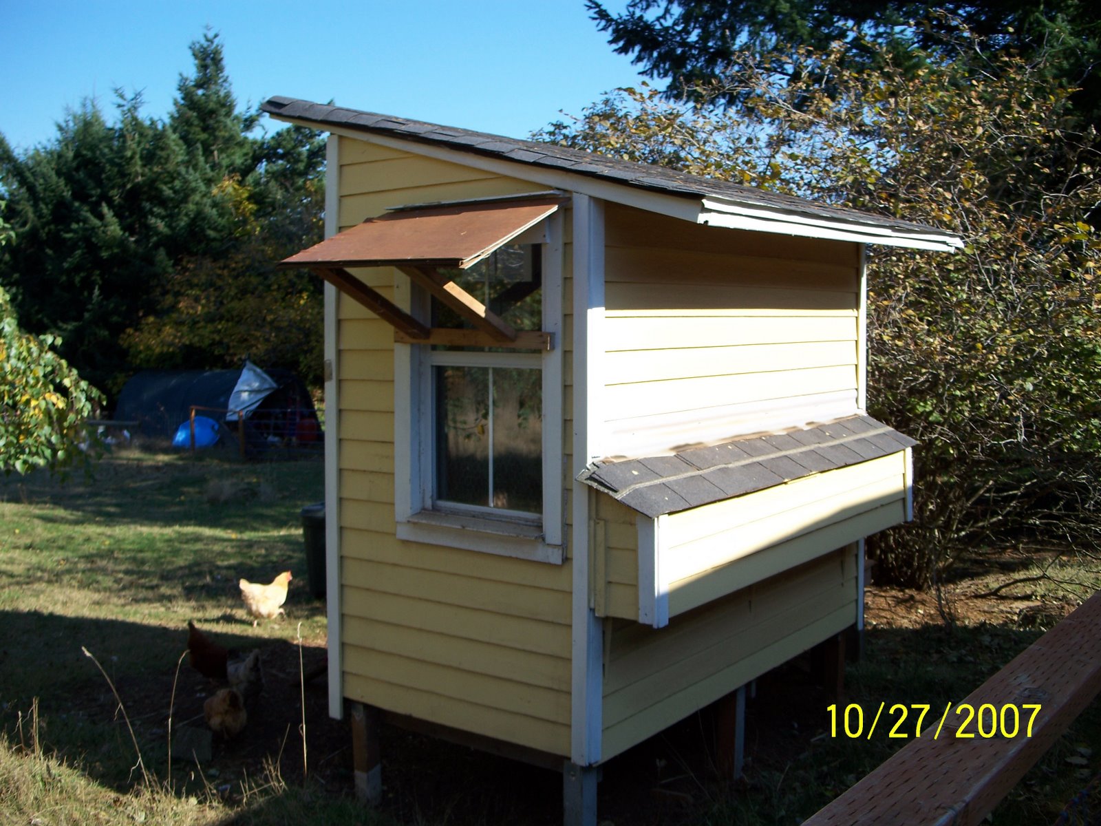 Build a coop blog: Extra large chicken coop plans